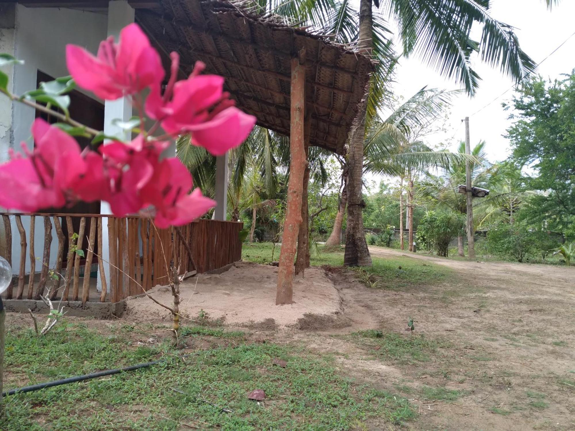 Soma Cabana, Homestay & Restaurant Tangalle Zewnętrze zdjęcie