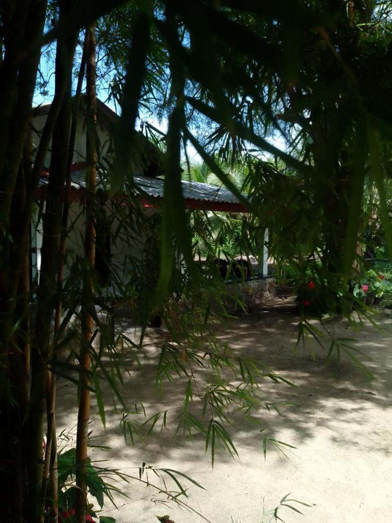 Soma Cabana, Homestay & Restaurant Tangalle Zewnętrze zdjęcie