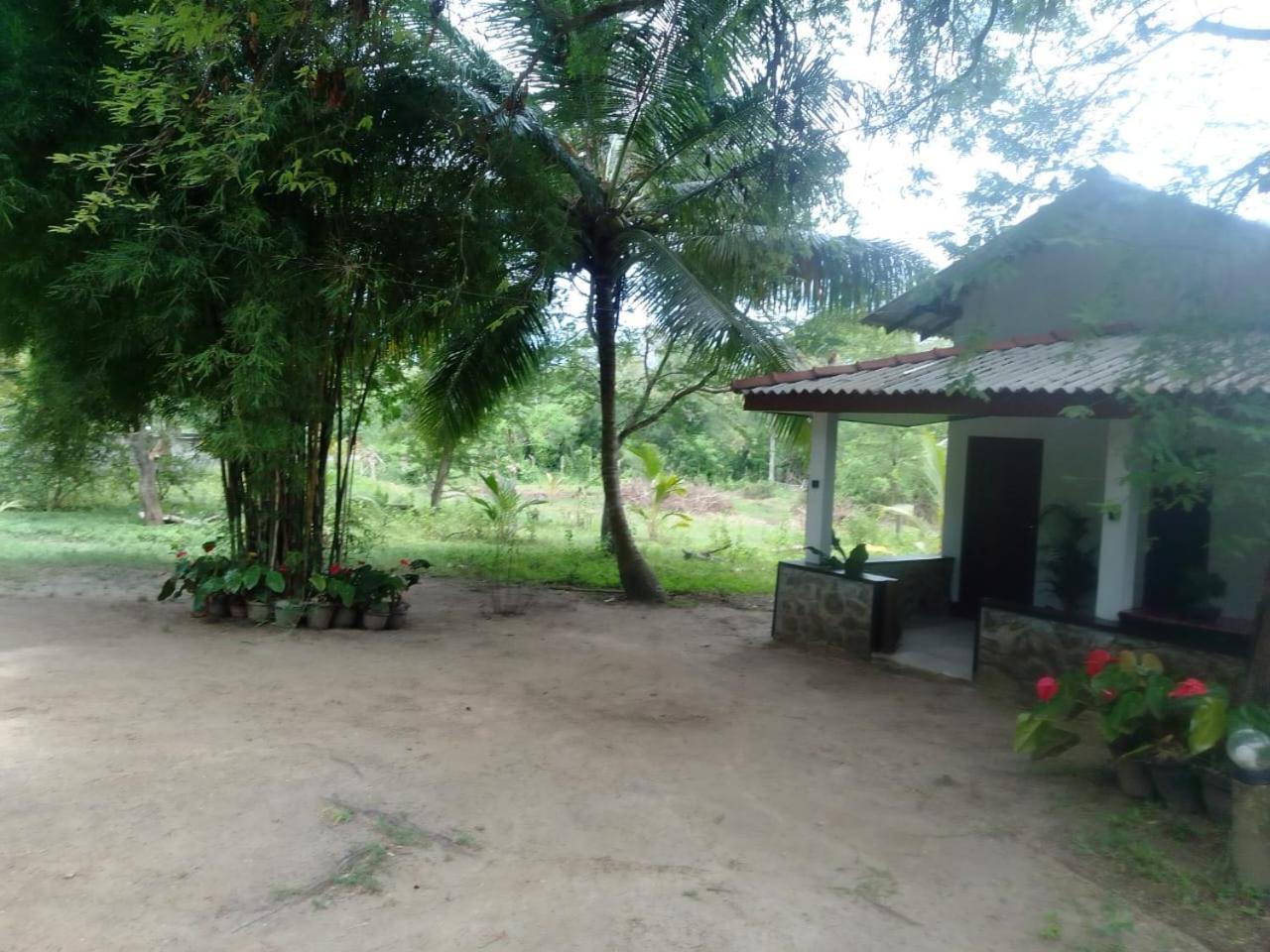 Soma Cabana, Homestay & Restaurant Tangalle Zewnętrze zdjęcie