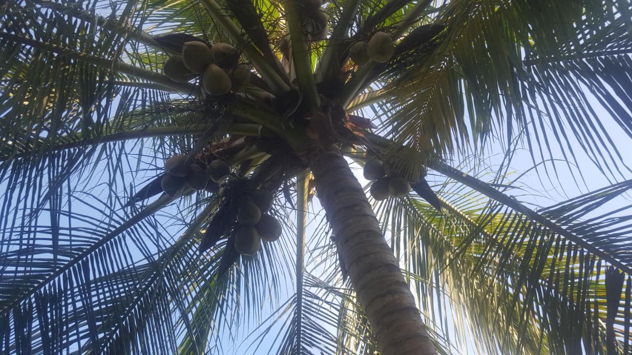 Soma Cabana, Homestay & Restaurant Tangalle Zewnętrze zdjęcie